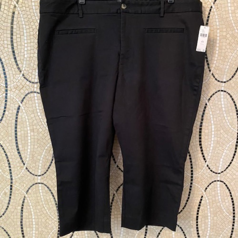 Women's A+nthroplogie Black Capri Pant-20W